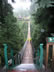 pilano Suspension Bridge 