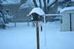 White Christmas 