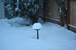 Snow For Birds