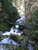 Footbridge at Rodney Falls 