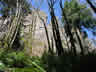 Rugged Cliffs