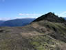 View Of The Top 