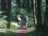 Indian Point Trail 