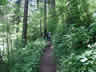 Indian Point Trail 