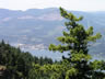 Columbia River Gorge