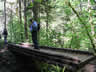 Bridge Over Clear Waters