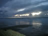 View at Dusk
