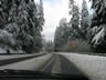 Snow Covered Road