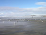 Newport Beach