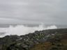 Seagull Shower 