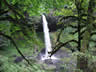 North Falls 