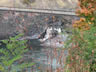 Waterfalls & Footbridge
