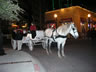 Carriage Ride